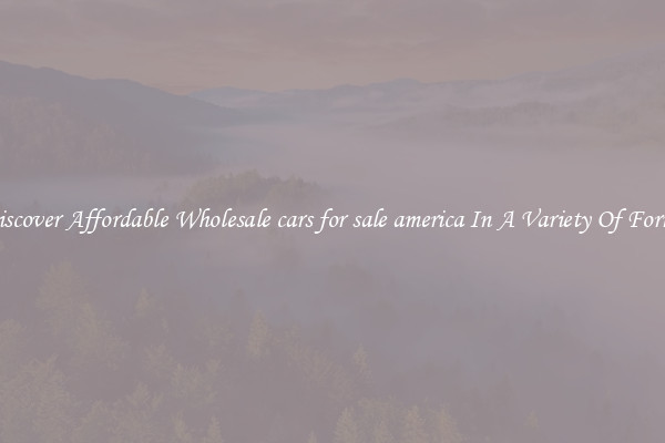Discover Affordable Wholesale cars for sale america In A Variety Of Forms