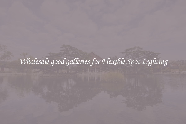 Wholesale good galleries for Flexible Spot Lighting