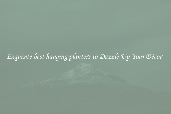 Exquisite best hanging planters to Dazzle Up Your Décor  