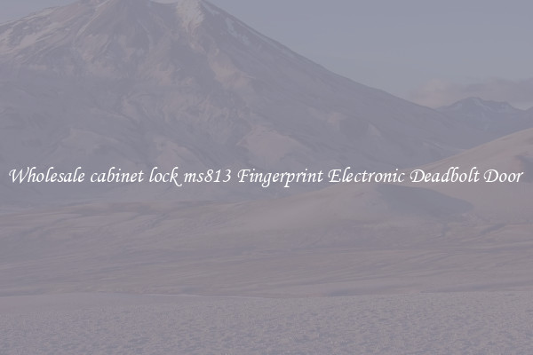 Wholesale cabinet lock ms813 Fingerprint Electronic Deadbolt Door 