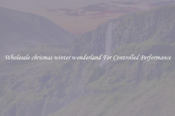 Wholesale chrismas winter wonderland For Controlled Performance