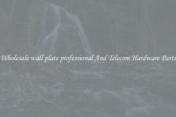 Wholesale wall plate professional And Telecom Hardware Parts