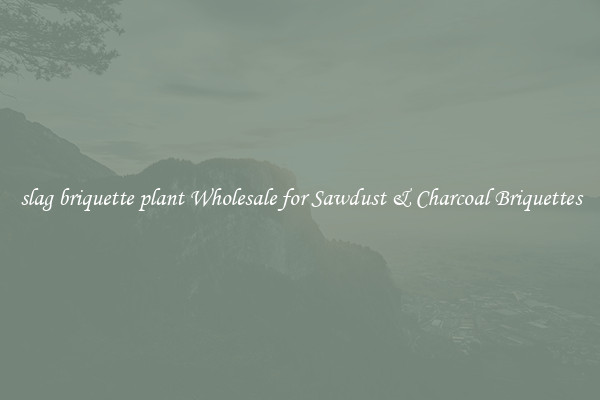  slag briquette plant Wholesale for Sawdust & Charcoal Briquettes 