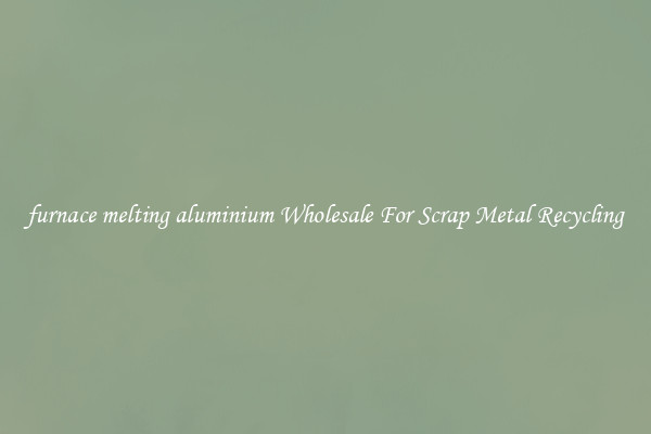 furnace melting aluminium Wholesale For Scrap Metal Recycling