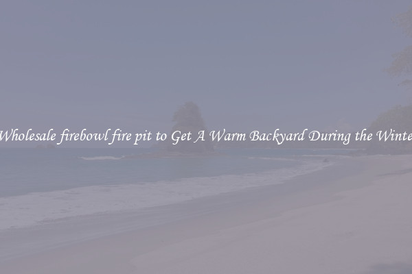 Wholesale firebowl fire pit to Get A Warm Backyard During the Winter