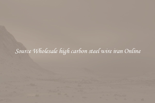 Source Wholesale high carbon steel wire iran Online