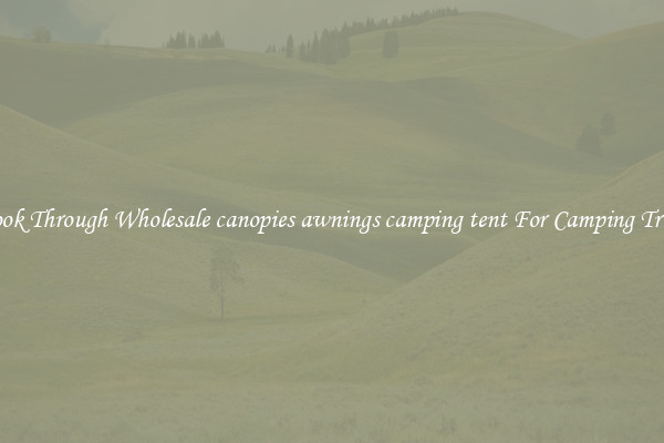 Look Through Wholesale canopies awnings camping tent For Camping Trips