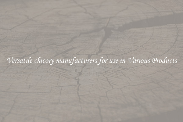 Versatile chicory manufacturers for use in Various Products