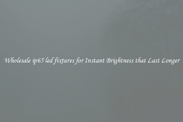 Wholesale ip65 led fixtures for Instant Brightness that Last Longer