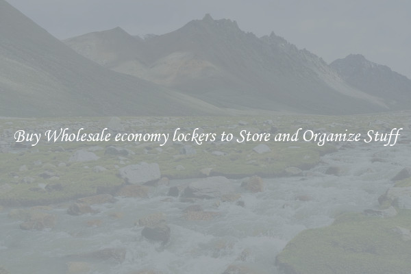 Buy Wholesale economy lockers to Store and Organize Stuff