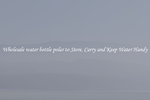 Wholesale water bottle polar to Store, Carry and Keep Water Handy