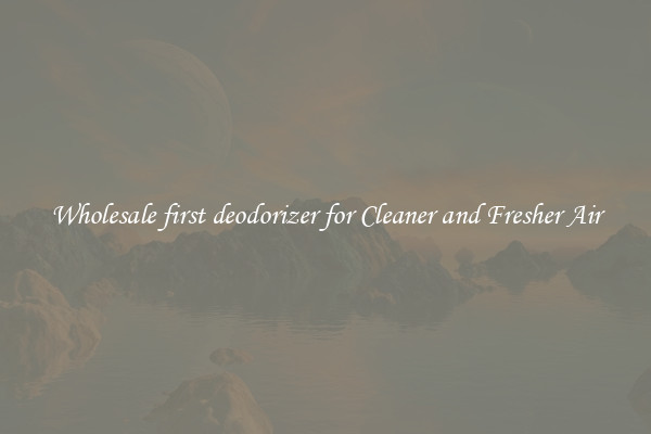 Wholesale first deodorizer for Cleaner and Fresher Air