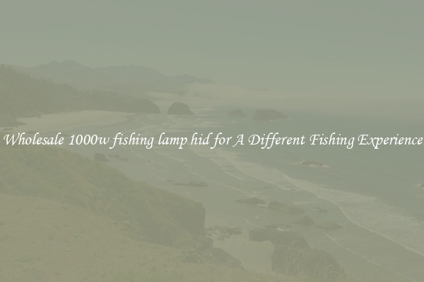 Wholesale 1000w fishing lamp hid for A Different Fishing Experience