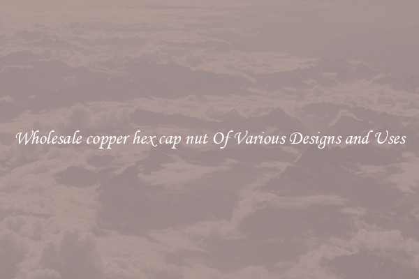 Wholesale copper hex cap nut Of Various Designs and Uses