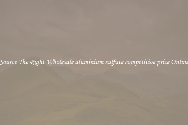 Source The Right Wholesale aluminium sulfate competitive price Online