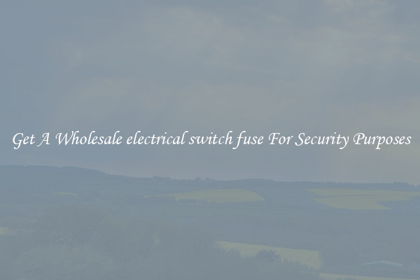Get A Wholesale electrical switch fuse For Security Purposes