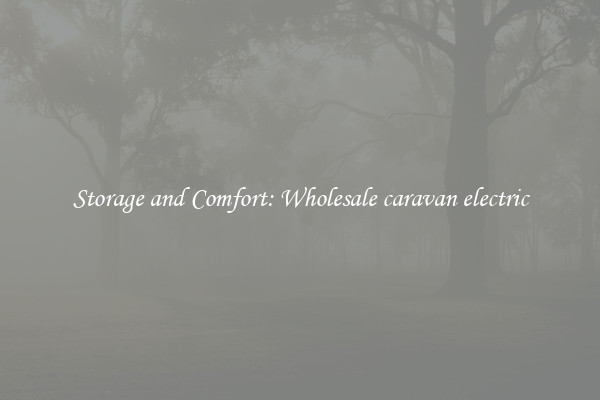 Storage and Comfort: Wholesale caravan electric
