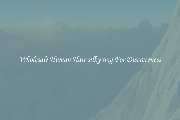 Wholesale Human Hair silky wig For Discreteness