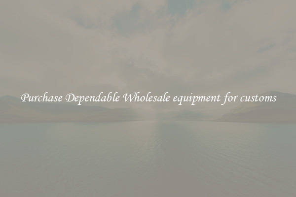 Purchase Dependable Wholesale equipment for customs