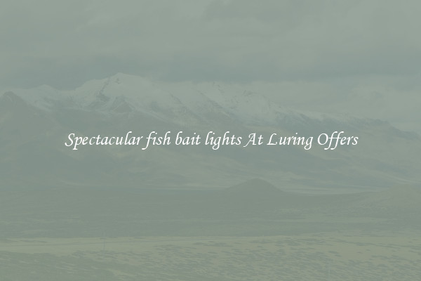 Spectacular fish bait lights At Luring Offers