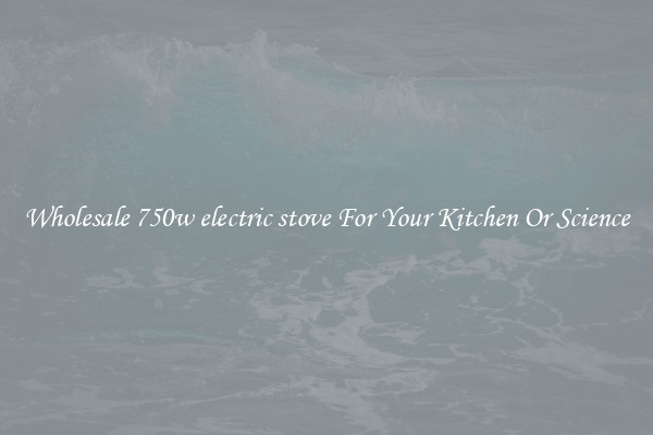 Wholesale 750w electric stove For Your Kitchen Or Science