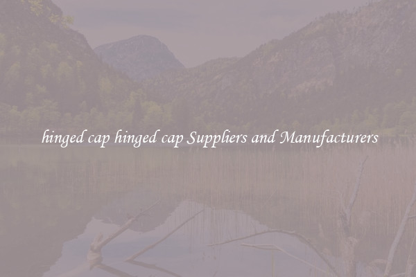 hinged cap hinged cap Suppliers and Manufacturers